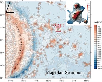 Geochemical-mineralogical analysis of ferromanganese oxide precipitated on porifera in the Magellan seamount, western Pacific